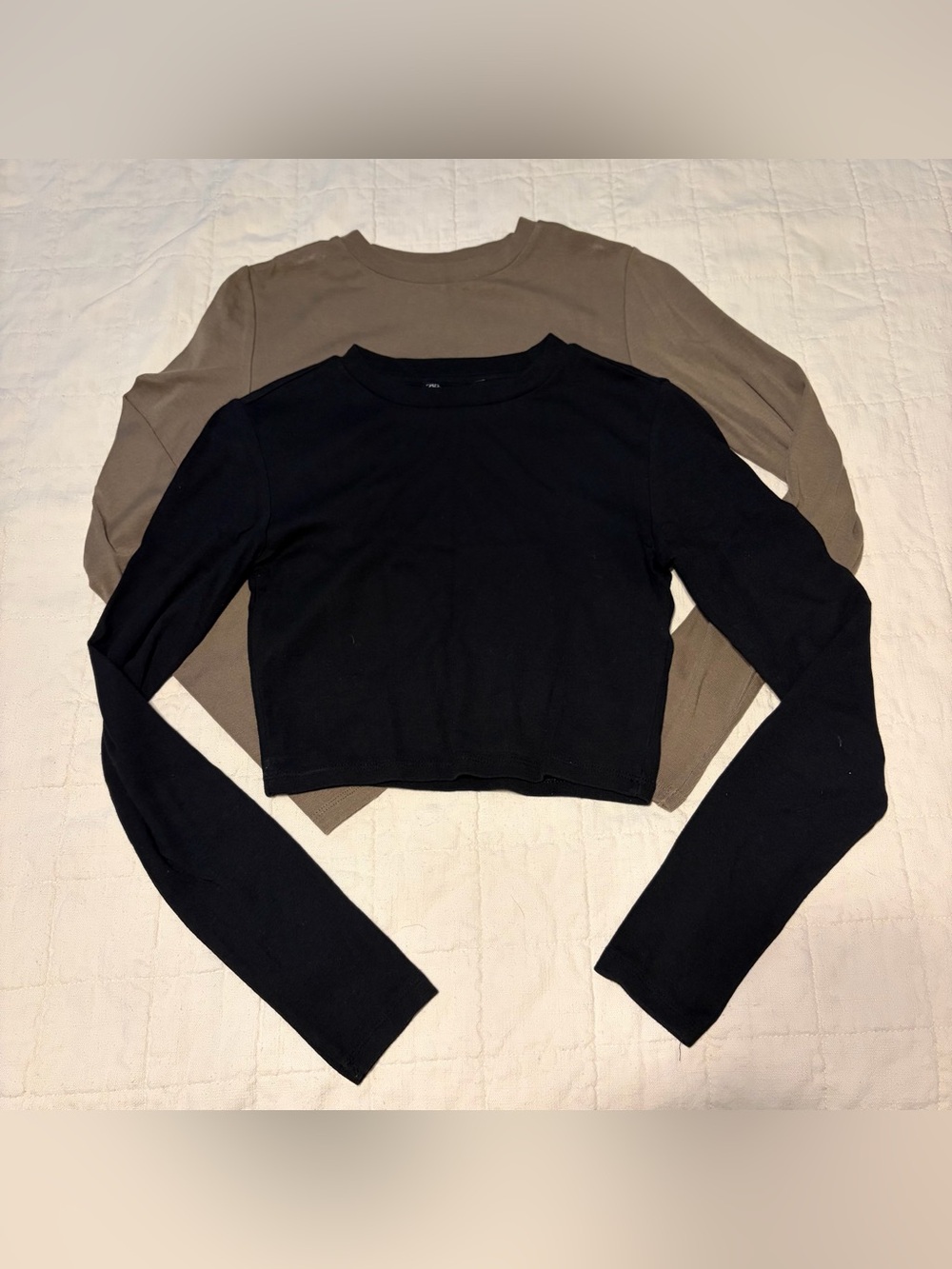 Zara Long Sleeve Cropped Tee Bundle